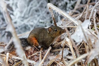 《全面战争：战锤3》全新法术介绍 让敌人灰飞烟灭